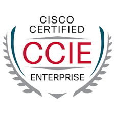 CCIE Enterprise Infrastructure / Routing & Switching Certification