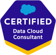 Pass Salesforce Data Cloud Consultant Certification Exam With Our Training