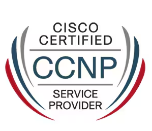 Pass CCNP Service Provider Certification Exam With Our Training
