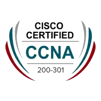  Pass Cisco Certified Network Associate Certification Exam With Our Training