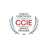 Pass CCIE Service Provider Certification Exam With Our Training