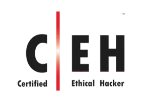 Pass CEH v13 Certification Exam With Our Training