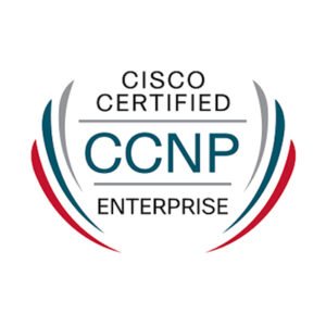 Professional-Cloud-Network-Engineer Practice Test