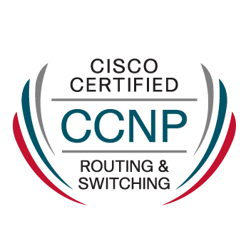 Tutorial Rumah Lab Cisco CCNA / CCNP Router 2503