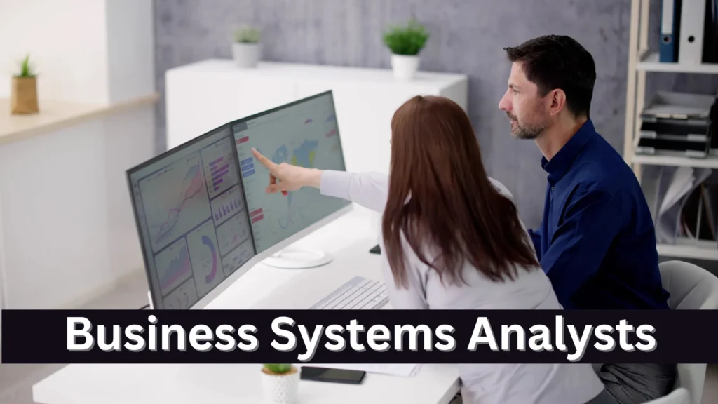 Business Systems Analysts